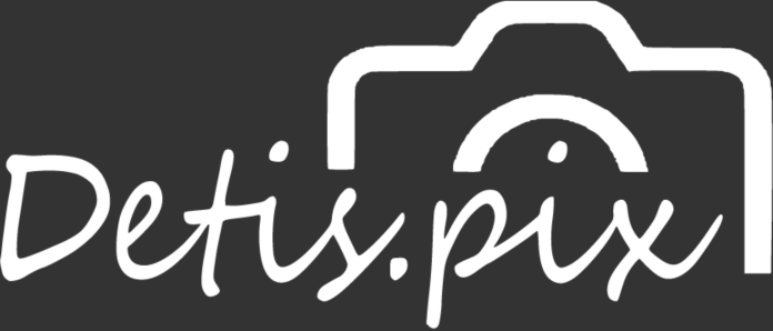 detis-pix-logo